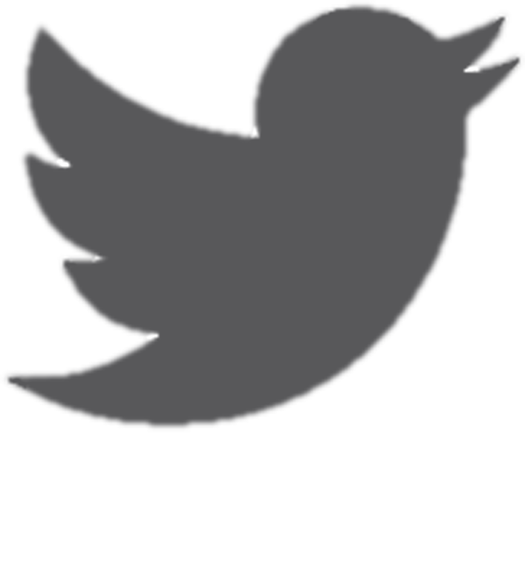 Twitter Logo